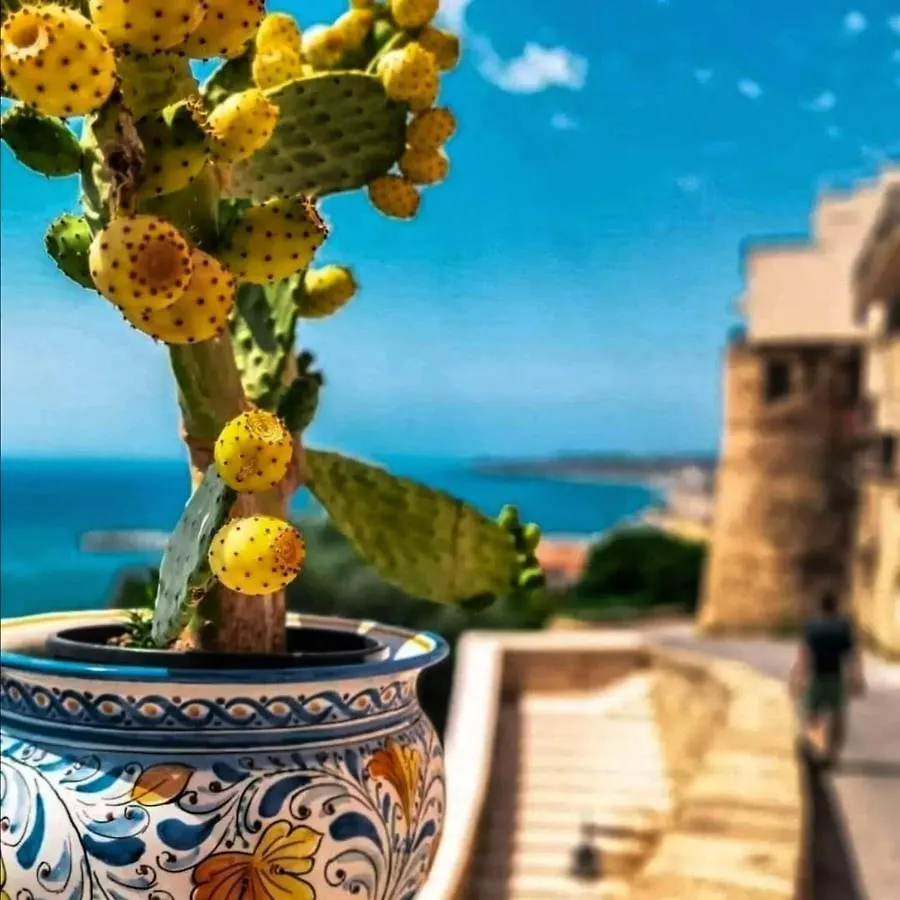 B&B La Norma Catania Bed & Breakfast